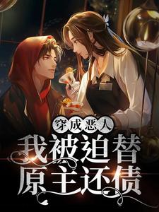 穿成恶人，我被迫替原主还债