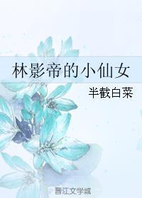 林影帝的小仙女txt全文阅读