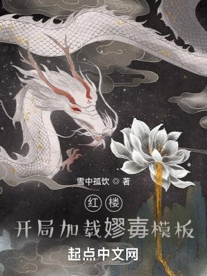 红楼开局加载嫪毐模板TXT下载