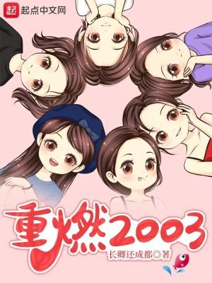 重燃2003女主角色介绍