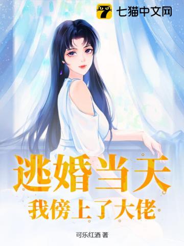 小说逃婚后嫁大佬