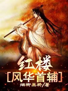 红楼之风华首辅