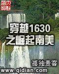 穿越1630之崛起南美txt下载