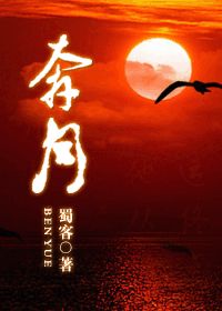 正版官道红颜