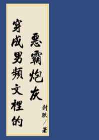 穿进男频搞建基建 宝书网